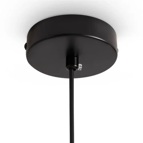 Подвесной светильник Freya FR5489PL-01BG (Черный) - фото 2