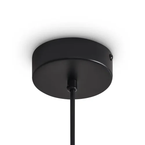 Подвесной светильник Freya FR5541PL-L5B (Черный) - фото 6