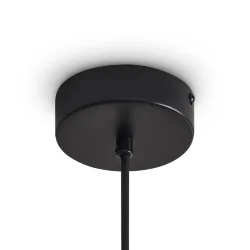 Подвесной светильник Freya FR5541PL-L5B (Черный)