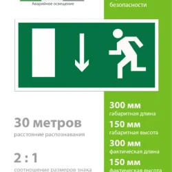 Знак безопасности BL-3015.E10 'Указатель двери эвакуационного выхода (лев.)' Белый свет a12482