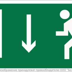 Знак безопасности BL-3015.E10 'Указатель двери эвакуационного выхода (лев.)' Белый свет a12482