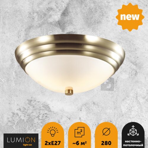 Настенно-потолочный светильник «LUMION» 5262/2C, серия: KAYLA (крепление на планке). Фото 2.