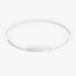 Потолочный светильник Rim 3000-4000К 59Вт (Белый)