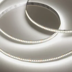 Светодиодная лента Class Premium, 2835, 240 led/m, однорядная, white, 24V, 24W/m, IP20, A75