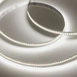 Светодиодная лента Class Premium, 2835, 240 led/m, однорядная, white, 24V, 24W/m, IP20, A75