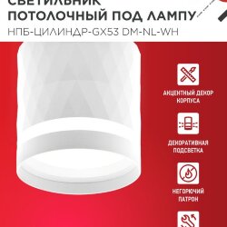 Светильник потолочный НПБ-ЦИЛИНДР-GX53 DM-NL-WH с подсветкой 82x80мм белый IN HOME