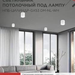 Светильник потолочный НПБ-ЦИЛИНДР-GX53 DM-NL-WH с подсветкой 82x80мм белый IN HOME