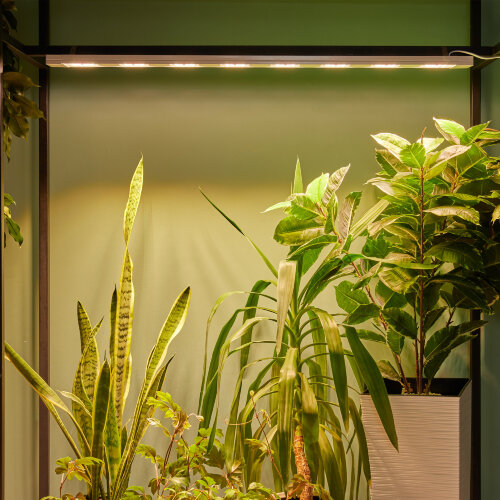 ULT-P71B-100W-SPFB-L105 WHITE WINTERGARDEN Светильник светодиодный накладной, Спектр для фотосинтеза, Корпус белый, Угол 60 градусов - фото 9