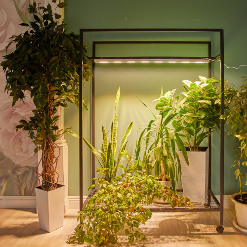 ULT-P71B-100W-SPFB-L105 WHITE WINTERGARDEN Светильник светодиодный накладной, Спектр для фотосинтеза, Корпус белый, Угол 60 градусов - фото 10