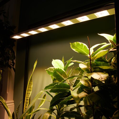 ULT-P71B-100W-SPFB-L105 WHITE WINTERGARDEN Светильник светодиодный накладной, Спектр для фотосинтеза, Корпус белый, Угол 60 градусов - фото 8