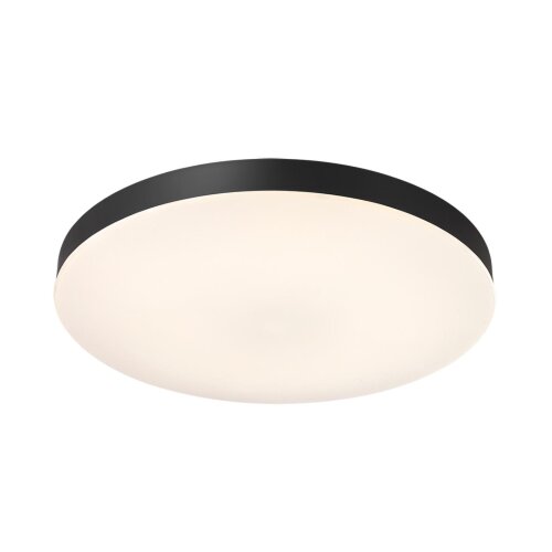 Потолочный светильник «Sonex» 7760/50L, серия: GAMMA (накладной). Фото 2.