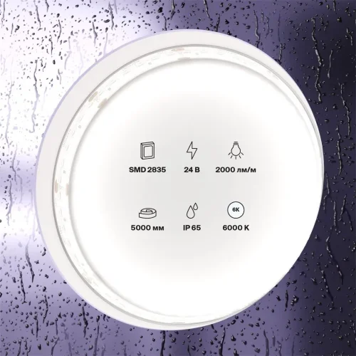 Светодиодная лента 24В 2835 20Вт/м 6000K 5м IP65 (Белый) - фото 5