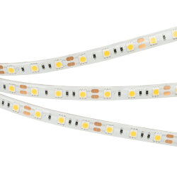 Светодиодная лента герметичная RTW-SE-В60-10mm 12V White6000 (14.4 W/m, IP65, 5060, 5m) (Arlight) 014636(2)
