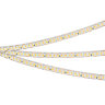 Светодиодная лента RT-А200-8mm 24V Day4000-СХ1 (16 W/m, IP20, 5m) (Arlight, резка 1 светодиод) 046939 - фото 2