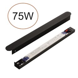 Драйвер «ODEON LIGHT» 357785BL, серия: FINO XS (крепление на планке)