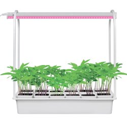 ULT-P34-10W-SPBR IP20 WHITE 12 Набор Минисад, светильник для растений светодиодный с подставкой, Спектр для рассады и досвечивания в период роста, 12 кашпо в-к, белые, TM Uniel