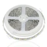 Светодиодная лента Standart PRO class, 5050, 60led/m, white, 12V, IP20, С80 - фото.