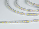 Светодиодная лента 5050, 60 LED/м, 14,4 Вт/м, 12В , IP68, Цвет: Теплый белый, SWG560-12-14.4-WW-68-M. Фото 2