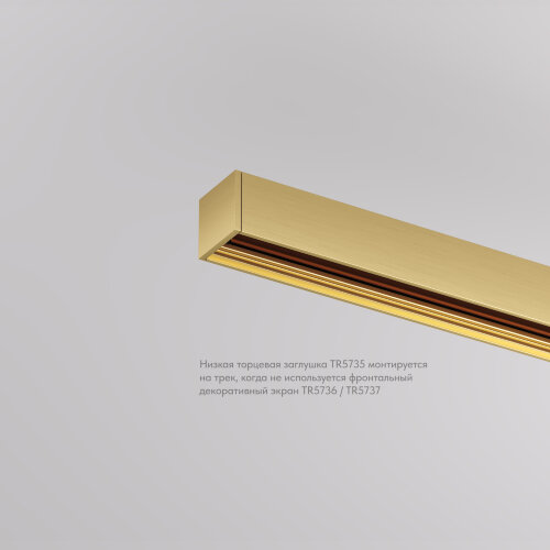 TR5735-SB Торцевая заглушка низкая, для использования без экрана, для трека Shine, серия Base,  комплект 2 шт, сатинированная латунь, алюминий. Фото 2