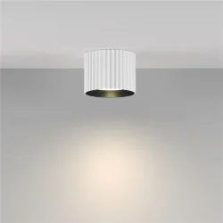 Потолочный светильник Calipso GX53 12 Вт (Белый)