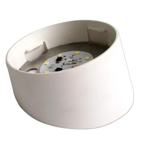 Светильник ДББ 'Спецсвет' 03-007-401 (317) LED 7Вт 5000К IP20 настенный/без стекла/корпус наклонный АС220В (групп.упак.) Элетех 1030450317 - фото