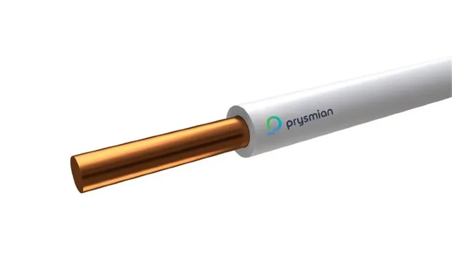 Провод ПуВнг(А)-LS 1х6 450/750В Б (бухта) (м) РЭК-PRYSMIAN 0601070201 - фото