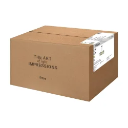 Люстра FR5525PL-05GB Олли / Ollie E14x5 (Черный и Золото) FR5525PL-05GB