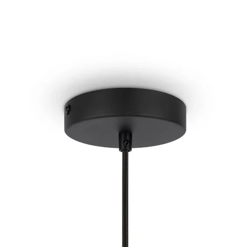 Подвесной светильник Roots E27х1 (Черный) - фото 7