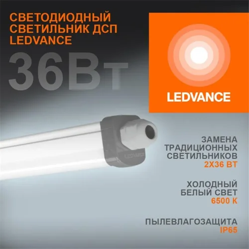 Светильник светодиодный Eco Class Damp Proof Slim 36Вт 6500К IP65 3700лм 1.2м ДСП промышленный накладной/подвесной сер. (аналог ЛСП) LEDVANCE 4058075169104 - фото