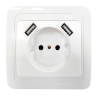 Розетка одинарная CLASSICO с двумя USB белая 2147 IN HOME - Фото