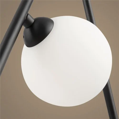 Люстра Freya FR4005PL-02B (Черный) - фото 5