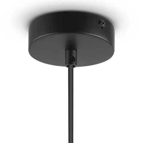 Люстра Freya FR4005PL-02B (Черный) - фото 5