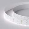 Светодиодная лента RT 2-2500 24V White6000 5x2 (2835, 875 LED, LUX) (Arlight, 36 Вт/м, IP20) - фото 1
