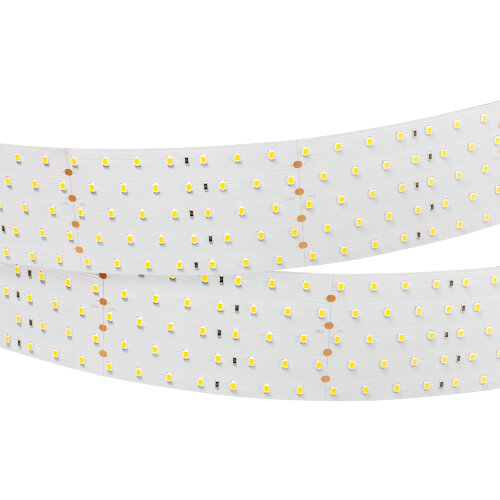 Светодиодная лента RT 2-2500 24V White6000 5x2 (2835, 875 LED, LUX) (Arlight, 36 Вт/м, IP20) 019082(B) - фото 3