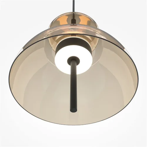 Подвесной светильник Bangkok 3000К 12Вт (Черный) - фото 4