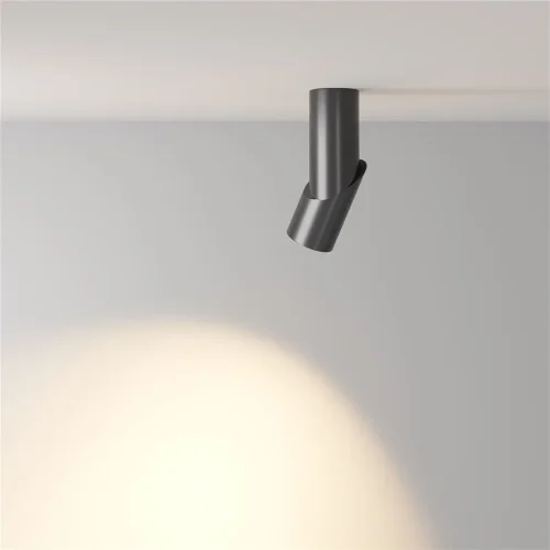 Потолочный светильник Dafne 3000K 1x10Вт 38° (Черный) - фото 11