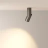 Потолочный светильник Дафна / Dafne 10 Вт 3000 К 38° (Черный) C027CL-L10B - фото 3