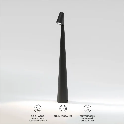 Светильник светодиодный настольный Elite черный TL70250 - фото