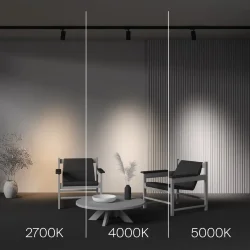 Трековый светильник Фокус / Focus Led Trinity 2700-5000K 20Вт 36° (Черный) TR197-3-20WCCT-M-B