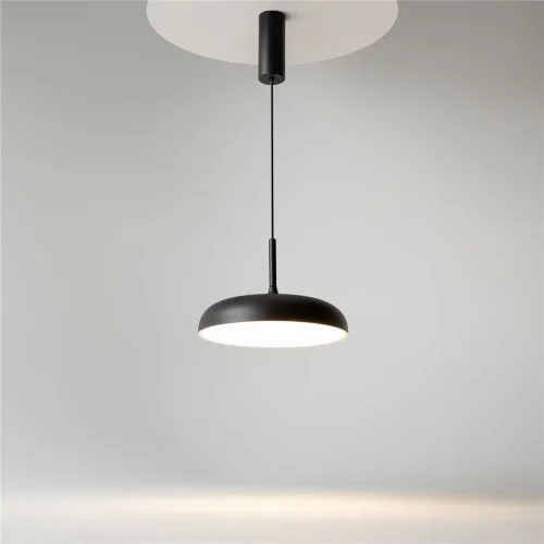 Подвесной светильник Gerhard 3000К 19Вт (Черный) - фото 11