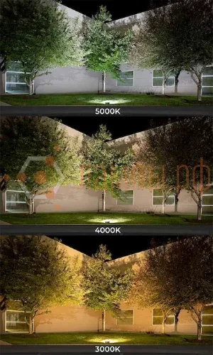 Прожектор светодиодный 30W/4000K IP65 | 3000Lm Симметричный 105° Чёрный | FLOODLIGHT ECO G4 | - LEDVANCE. Фото 3