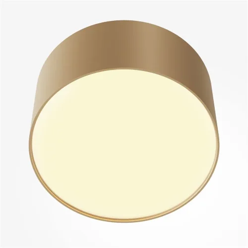 Потолочный светильник Zon 2700K 12Вт 120° (Матовое Золото) - фото 2