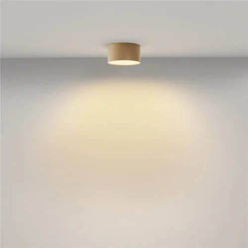 Потолочный светильник Zon 2700K 12Вт 120° (Матовое Золото) - фото 4