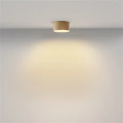 Потолочный светильник Zon 2700K 12Вт 120° (Матовое Золото)