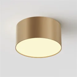 Потолочный светильник Зон / Zon 12 Вт 2700 К 120° (Матовое Золото) C032CL-12W2.7K-RD-MG