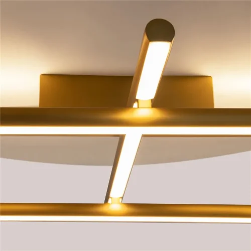 Потолочный светильник Radiance 3000К 50Вт (Золото) - фото 9