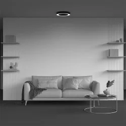 Потолочный светильники Lua 4000К 36Вт 120° (Черный)