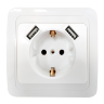 Розетка одинарная с заземлением CLASSICO с двумя USB белая 2047 IN HOME - Фото