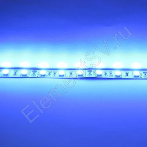 Светодиодная лента Standart class, 5050, 60led/m, Blue, 12V, IP20 - фото 3.