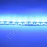 Светодиодная лента Standart class, 5050, 60led/m, Blue, 12V, IP20 - фото 3.
